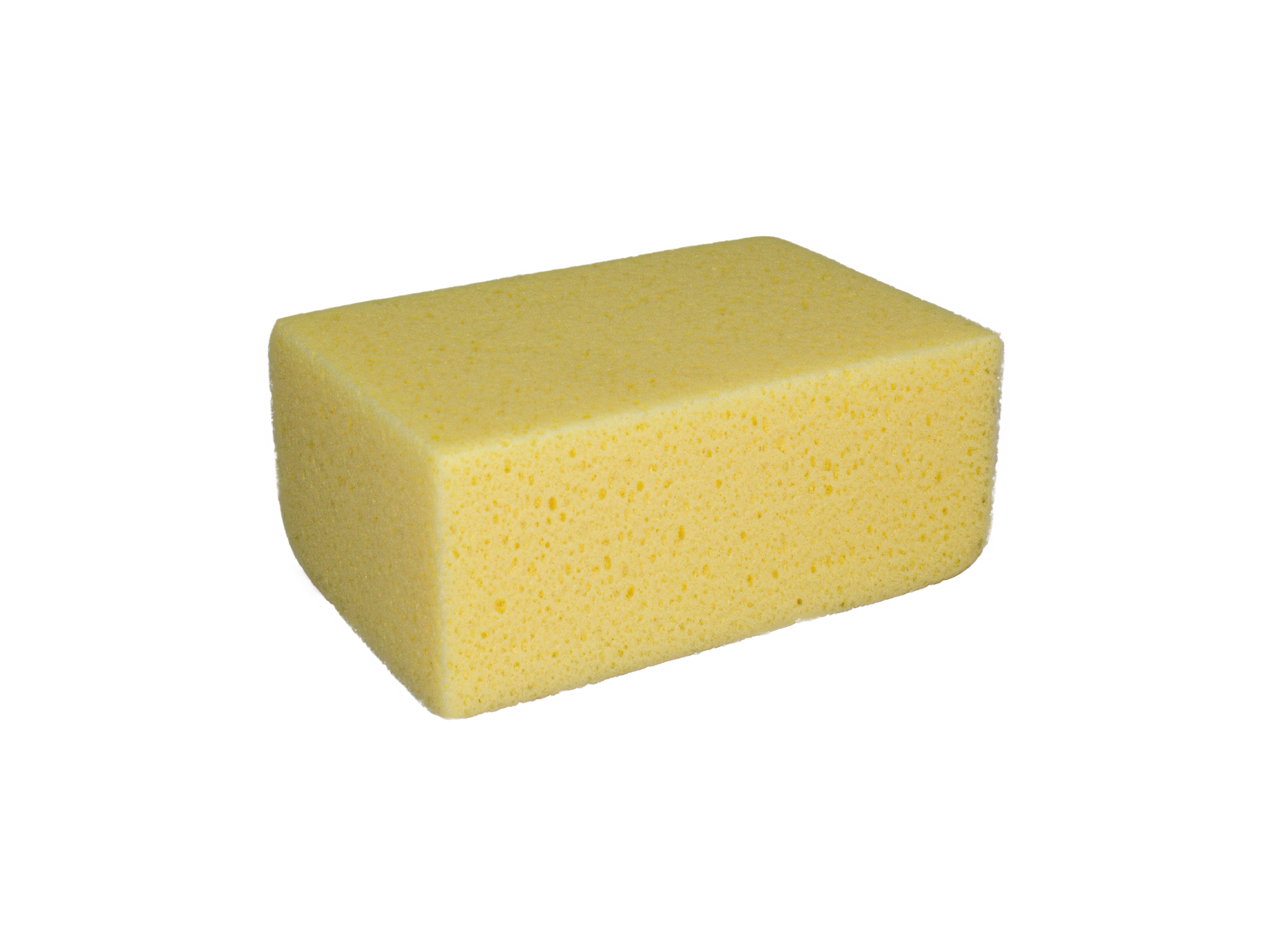 Bauschwamm