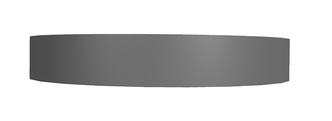Gleitring